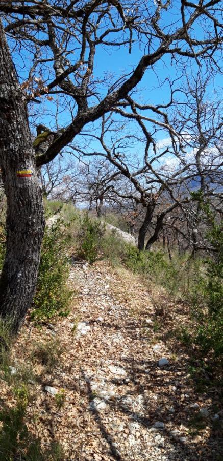 Gites Les Costoliers Chateauneuf-Miravail Bagian luar foto