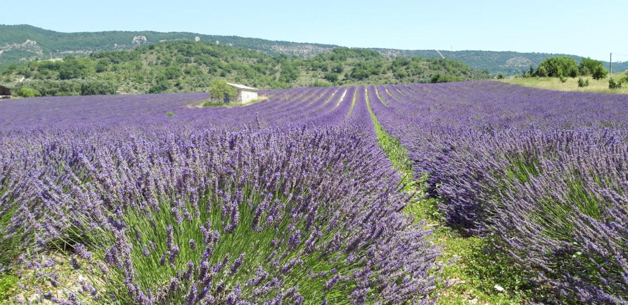 Gites Les Costoliers Chateauneuf-Miravail Bagian luar foto