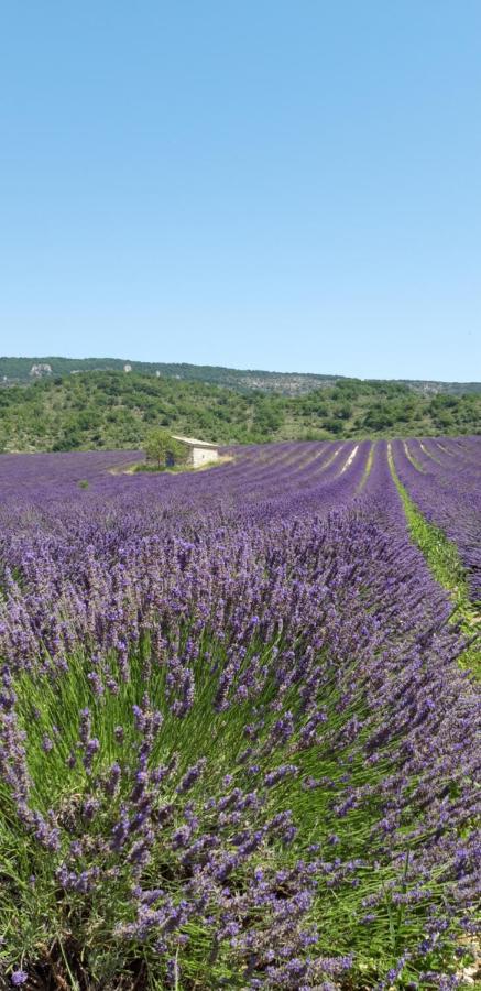 Gites Les Costoliers Chateauneuf-Miravail Bagian luar foto
