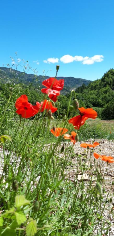 Gites Les Costoliers Chateauneuf-Miravail Bagian luar foto