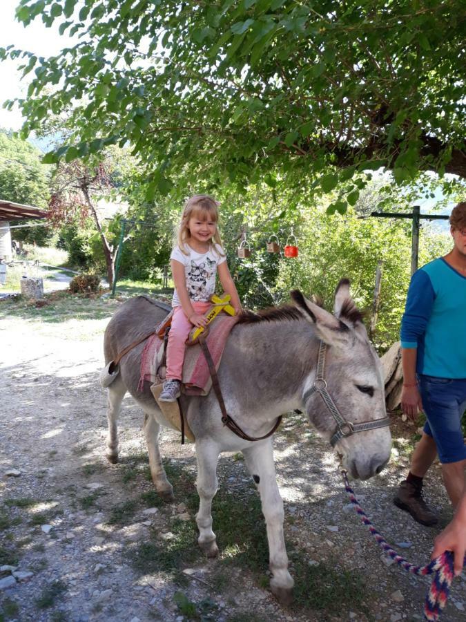 Gites Les Costoliers Chateauneuf-Miravail Bagian luar foto